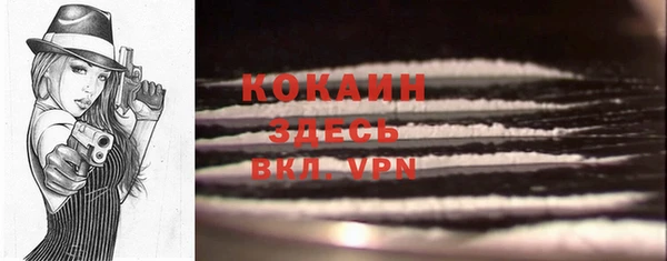 PSILOCYBIN Баксан